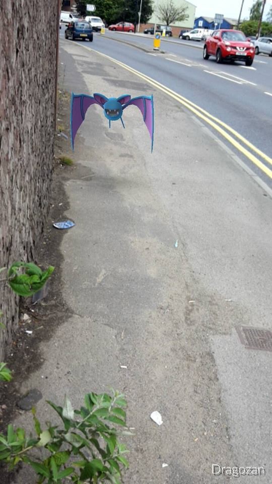 pokemon1