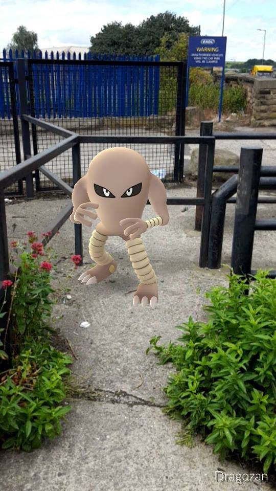 pokemon2