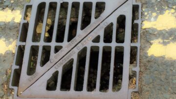 drain cover