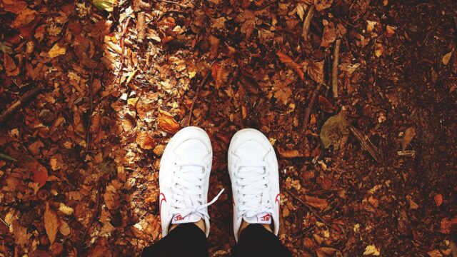 Trainers