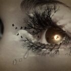 An surreal painting of an eye with some birds around it