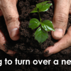 Top 10 Sheffield Food and Gardening Projects