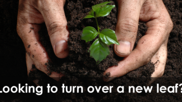 Top 10 Sheffield Food and Gardening Projects