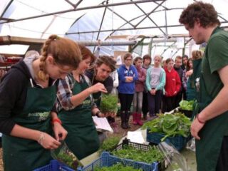 Onlookers watch as Incredible Edible salad bags are packed