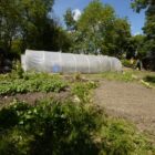 Oasis: we are recruiting an Associate Gardener!