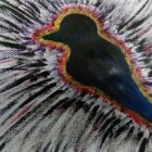 A bird