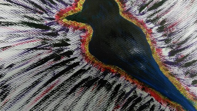 A bird