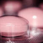 A pill in a packet