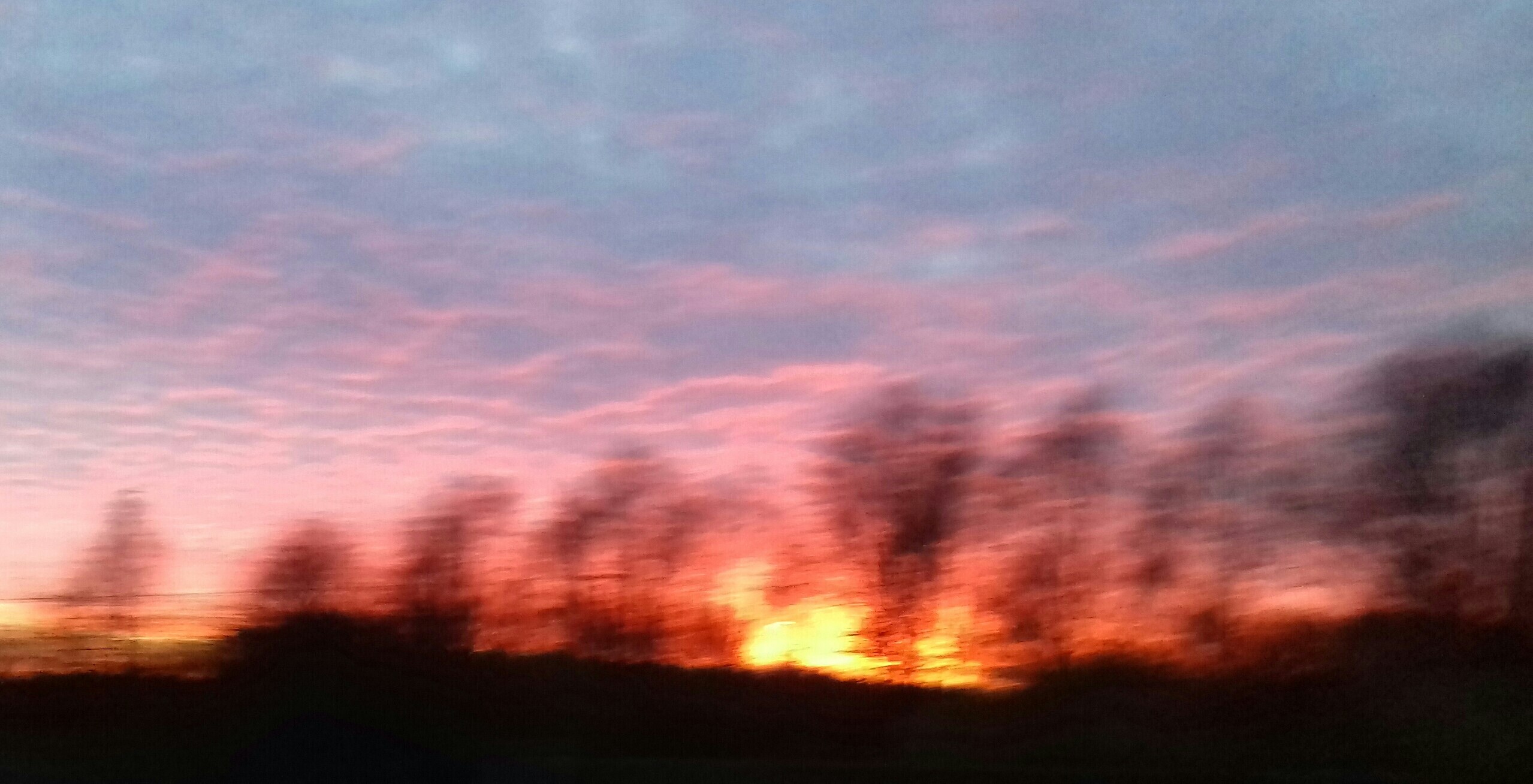Sunset over trees