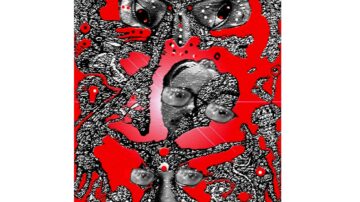 A fragmented mind