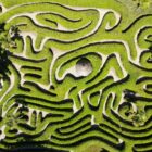 Labyrinth