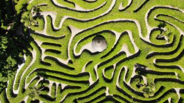 Labyrinth