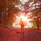 person running through a wood