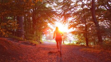 person running through a wood