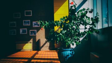 a room in a home