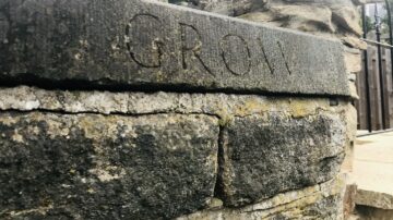 wall