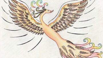drawing of a beautiful bird