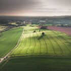 field with sun shining
