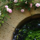 roses around an archway