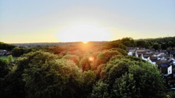 suburban landscape