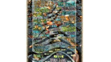 word cloud