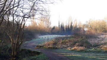 winding path on a crisp winter morning