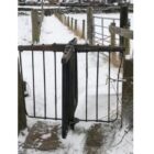 Revolving gate on a snowy path