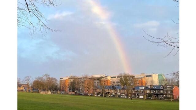 park with a rainbow over it