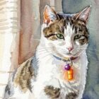 How Companion Animals Support our Health and Wellbeing