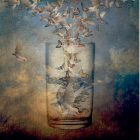 Butterflies flying into a glass