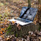 A laptop placed on a tree stump in the woods