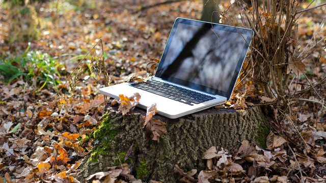 A laptop placed on a tree stump in the woods