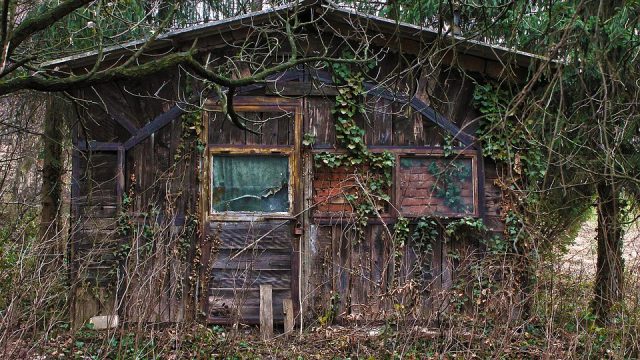 Abandoned overgrown wooden house