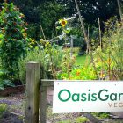 Work with us! - Oasis Gardening Service Manager