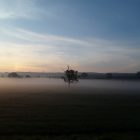 unvisited tree in the mist