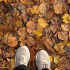 A pair of feet standing on a carpet of autumn leaves