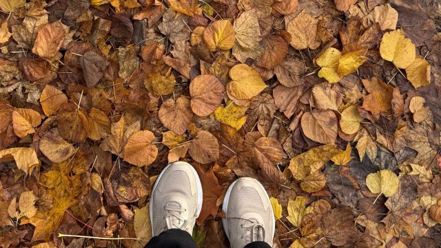 A pair of feet standing on a carpet of autumn leaves