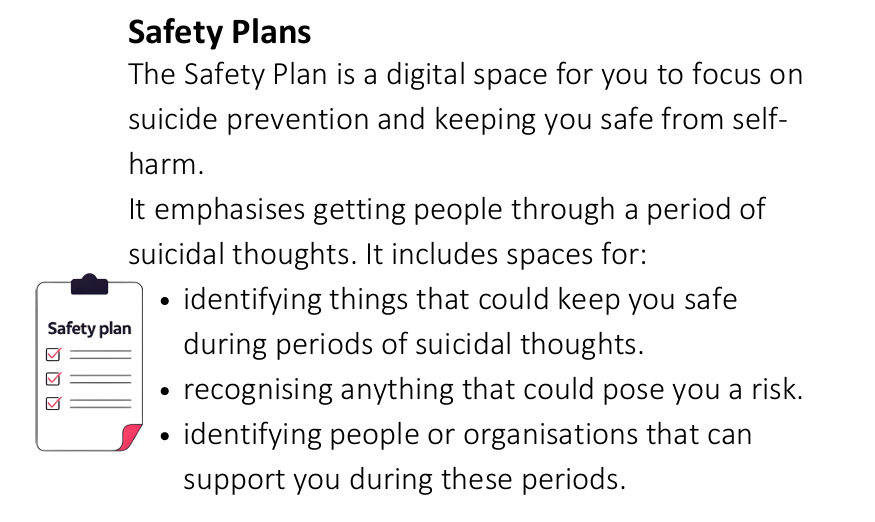 The Safety Plan is a space for personal reasons for wanting to live. There are no right or wrong answers.