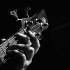 Lyle: Finding Your Voice