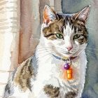 How Companion Animals Support our Health and Wellbeing